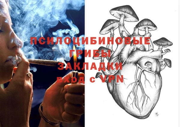 эйфоретик Балахна